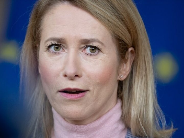 رئيس مجلس “الدوما” الروسي ينصح مفوضة السياسة الخارجية في الاتحاد الأوروبي بمراجعة طبيب نفسي