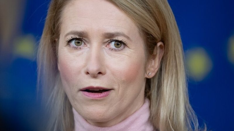 رئيس مجلس “الدوما” الروسي ينصح مفوضة السياسة الخارجية في الاتحاد الأوروبي بمراجعة طبيب نفسي