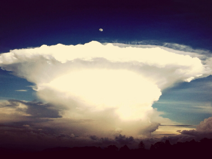 مسؤول أمريكي: سنبدأ أنشطة الاختبارات النووية أسوة بالدول الأخرى