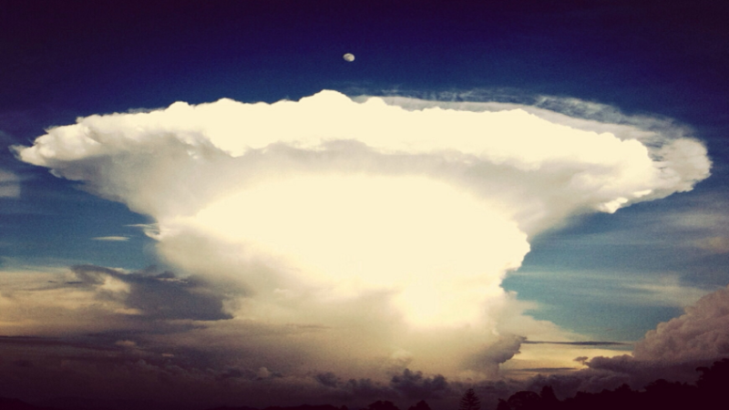 مسؤول أمريكي: سنبدأ أنشطة الاختبارات النووية أسوة بالدول الأخرى