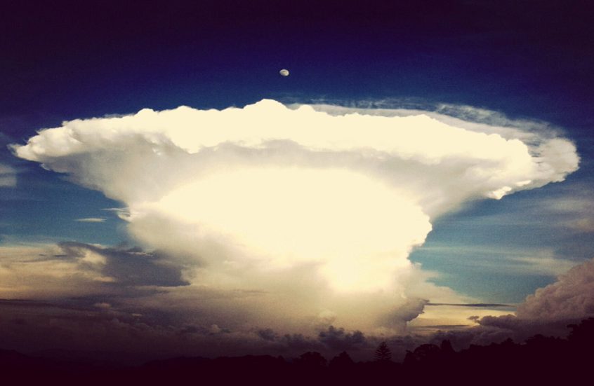 مسؤول أمريكي: سنبدأ أنشطة الاختبارات النووية أسوة بالدول الأخرى