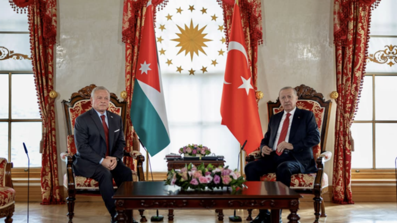 الملك عبدالله الثاني وأردوغان يبحثان ملفات سوريا وغزة وإيران