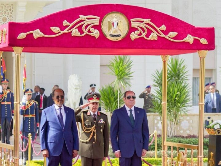 السيسي يؤكد نشر قوات مصرية في الصومال