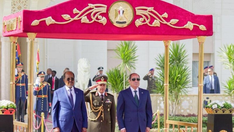 السيسي يؤكد نشر قوات مصرية في الصومال