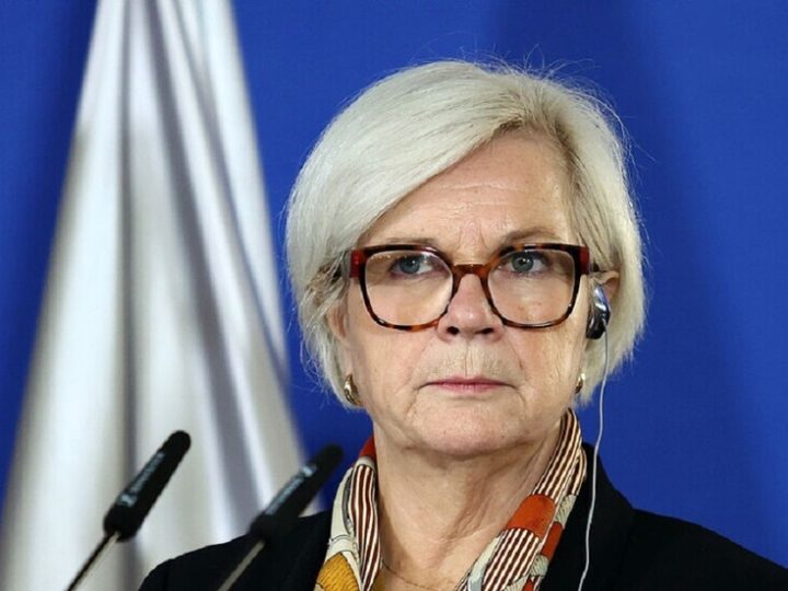 وزيرة الدفاع الفرنسية: باريس وكييف تتفقان على إنتاج مشترك للمسيرات الجوية