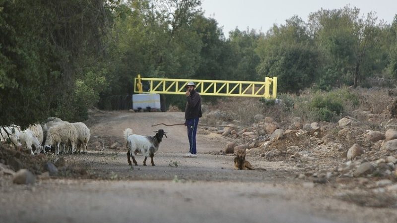 الكشف عن نتائج رش إسرائيل أراضي سورية بالمبيدات.. تصريحات ميدانية