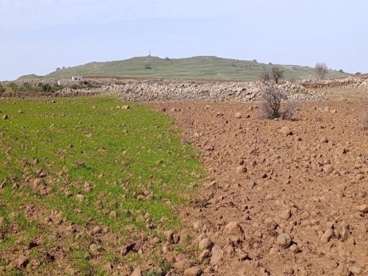 سوريا.. نتائج تحليل التربة والمياه بعد رش إسرائيل مواد مجهولة بريف القنيطرة