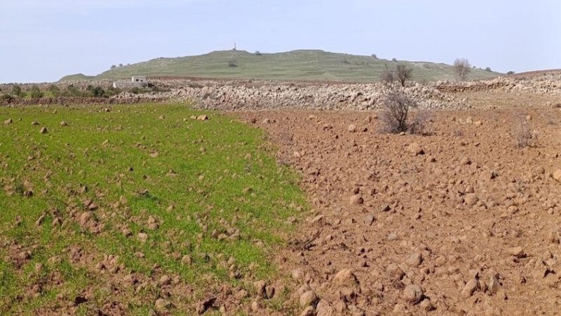 سوريا.. نتائج تحليل التربة والمياه بعد رش إسرائيل مواد مجهولة بريف القنيطرة