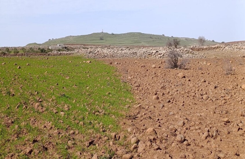 سوريا.. نتائج تحليل التربة والمياه بعد رش إسرائيل مواد مجهولة بريف القنيطرة