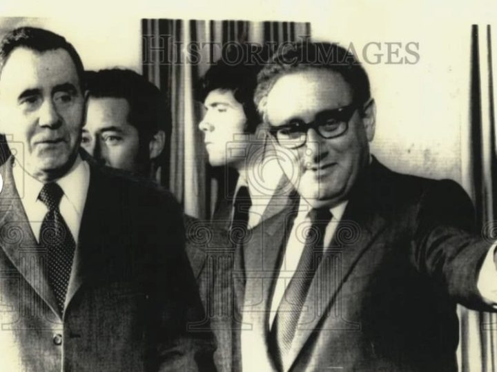 الأسد من أكثر رواده الكبار.. قصة فندق يجمع الفرقاء