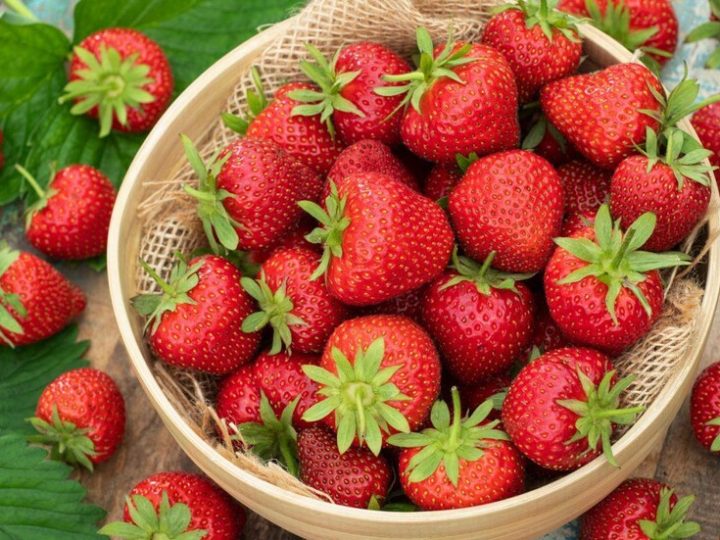 الفراولة المصرية تحقق إنجازا تاريخيا