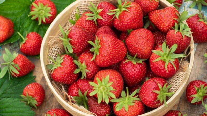 الفراولة المصرية تحقق إنجازا تاريخيا