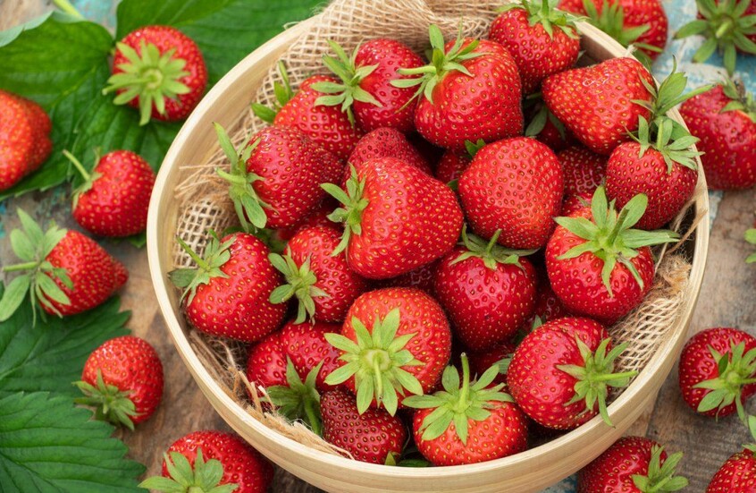 الفراولة المصرية تحقق إنجازا تاريخيا