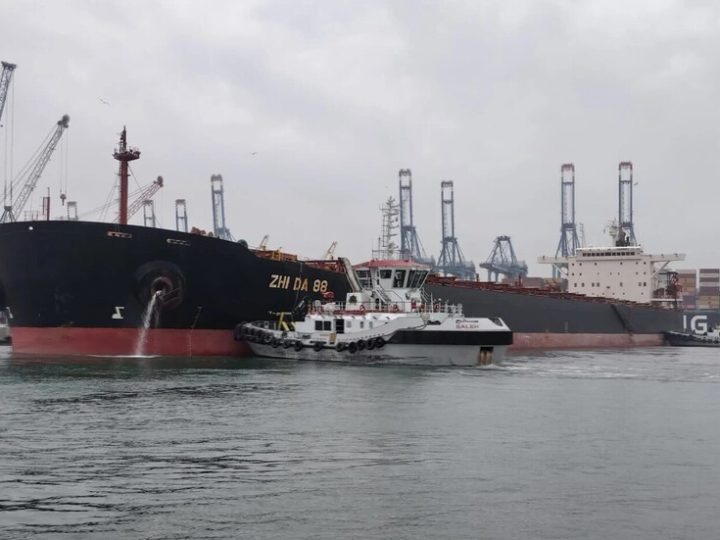 مصر تستقبل شحنة ضخمة من القمح الروسي 