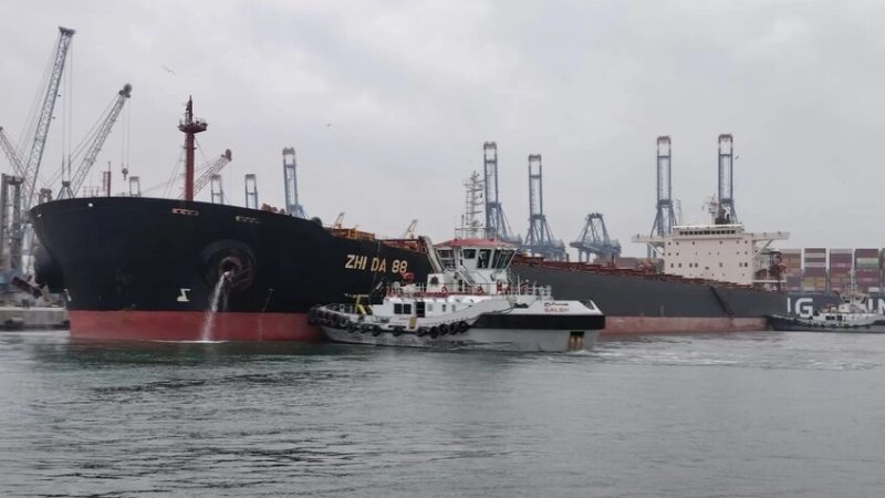 مصر تستقبل شحنة ضخمة من القمح الروسي 