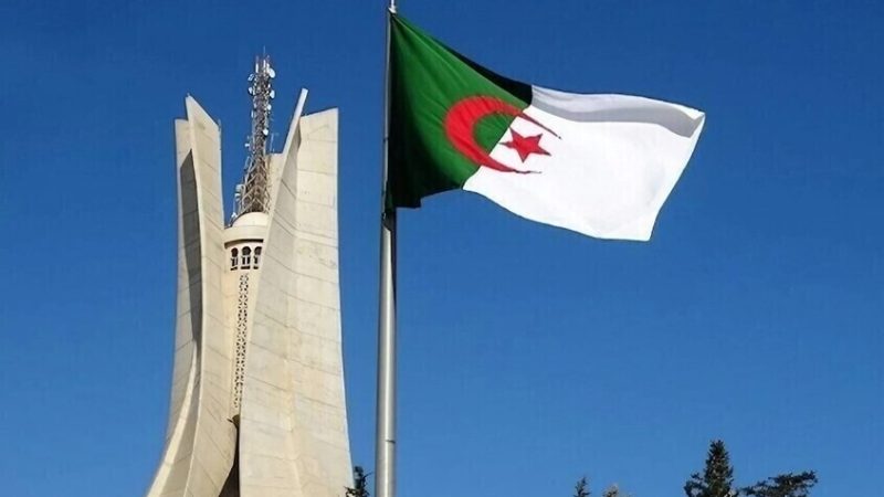 الجزائر تعلن اكتشاف كنز أثري يضم أكثر من 10 آلاف قطعة نقدية تعود للعصر الروماني