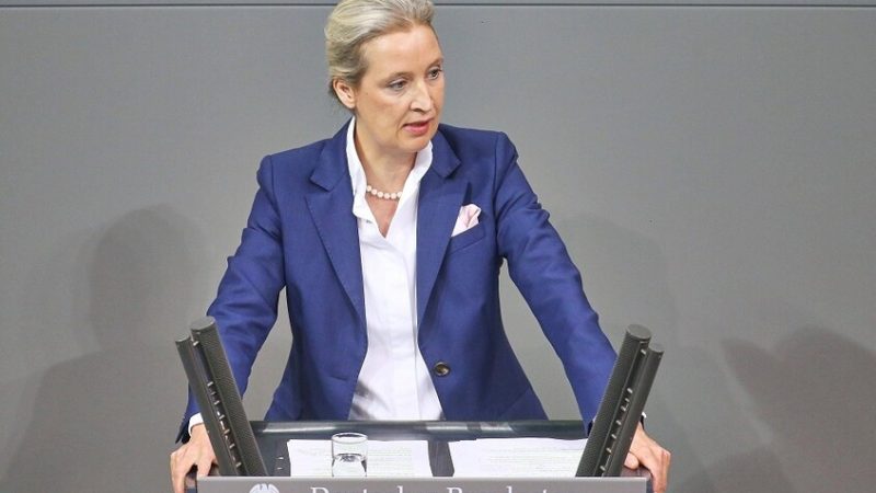 زعيمة حزب “البديل من أجل ألمانيا”: لا يمكن تحقيق السلام في أوروبا بدون روسيا
