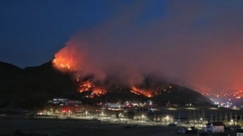 كوريا الجنوبية.. حريق غابات ميريانغ يستمر لليوم الثاني