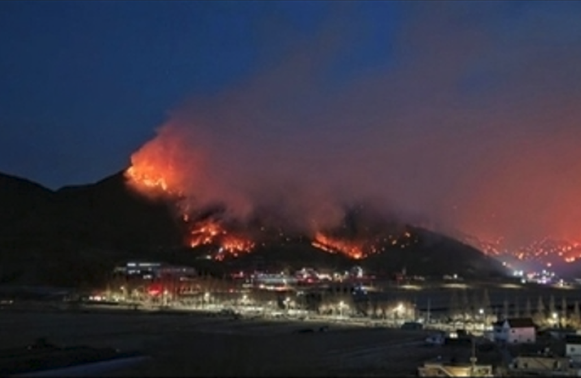 كوريا الجنوبية.. حريق غابات ميريانغ يستمر لليوم الثاني