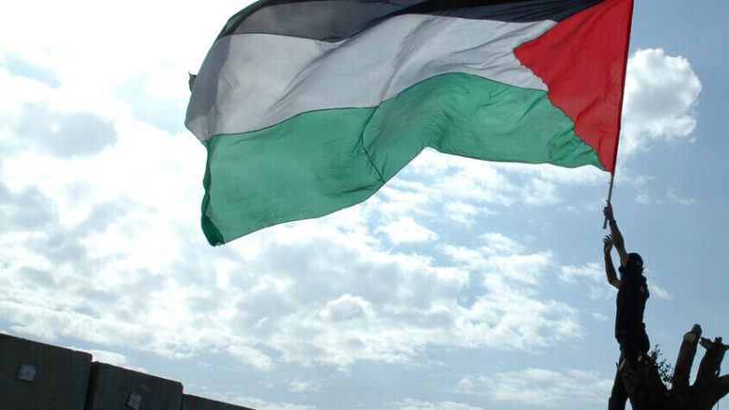 فرانشيسكا ألبانيز تتهم دولا أوروبية بشن هجمات “سامة” عليها بسبب مواقفها الداعمة لفلسطين