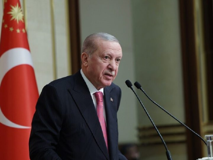 أردوغان: إسرائيل تتغذى على سفك الدماء ونشر الفوضى