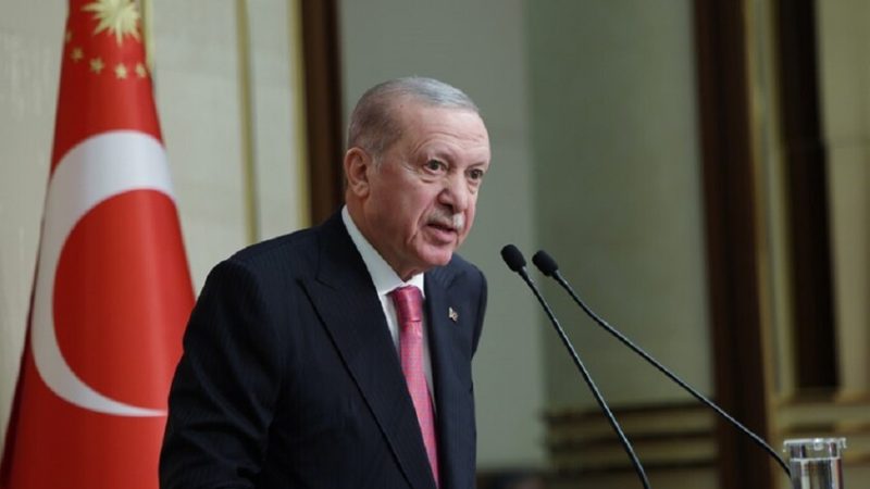 أردوغان: إسرائيل تتغذى على سفك الدماء ونشر الفوضى