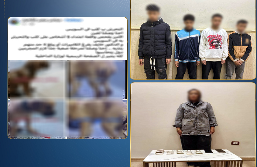 مصر.. الأمن يكشف كواليس فيديو “اغتصاب الكلب”!