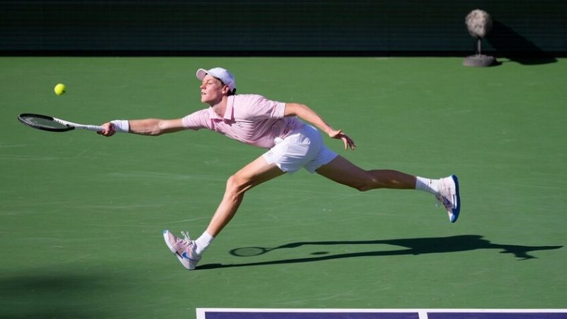 سينر يهزم مدفيديف ويتوج بلقب بطل إنديان ويلز (فيديو)