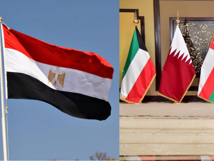 وزير مصري يحذر من “الفتنة الكبرى” بين مصر والخليج