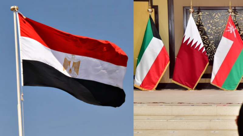 وزير مصري يحذر من “الفتنة الكبرى” بين مصر والخليج