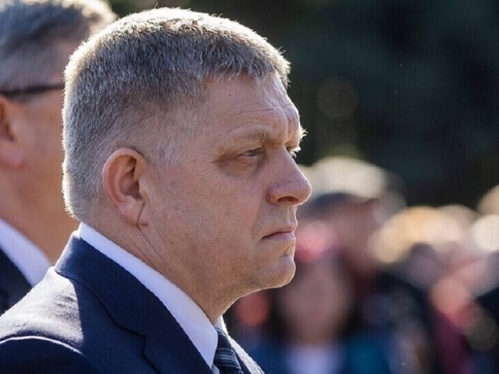 فيتسو: البعض ربما سئم من استمرار السلام حوالي 81 عاما بعد الحرب العالمية