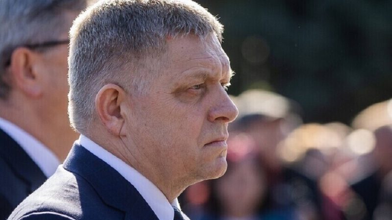 فيتسو: البعض ربما سئم من استمرار السلام حوالي 81 عاما بعد الحرب العالمية