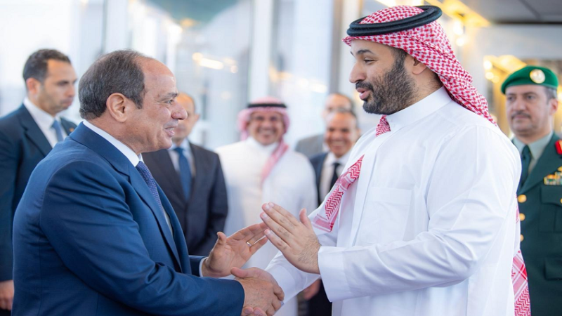 خبير مصري يكشف لـRT ما وراء زيارة السيسي للسعودية والبحرين وما علاقة “مسافة السكة”؟