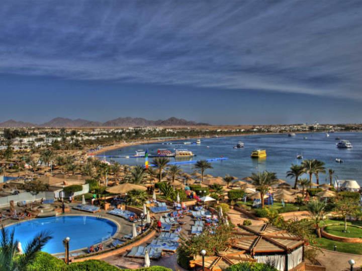 تعيين قنصل عام لروسيا في شرم الشيخ.. من هو توربال أوتايف؟