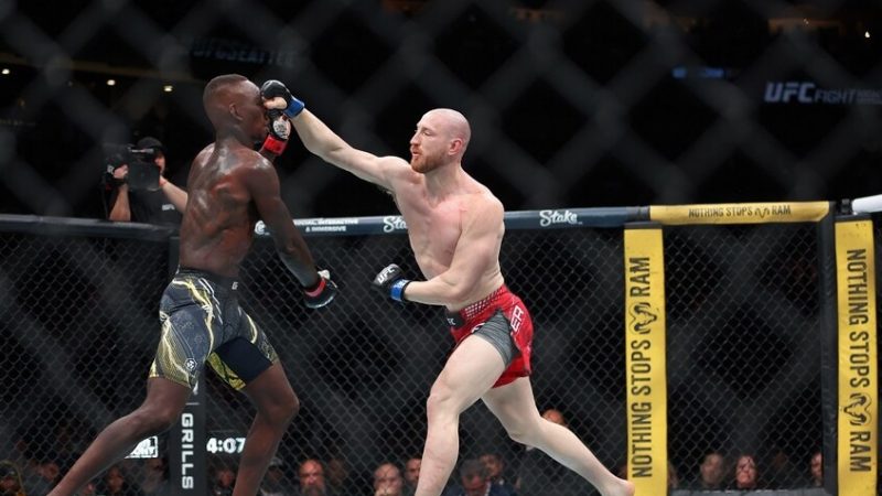 المقاتل الأمريكي بايفر يسحق إسرائيل أديسانيا (فيديو)