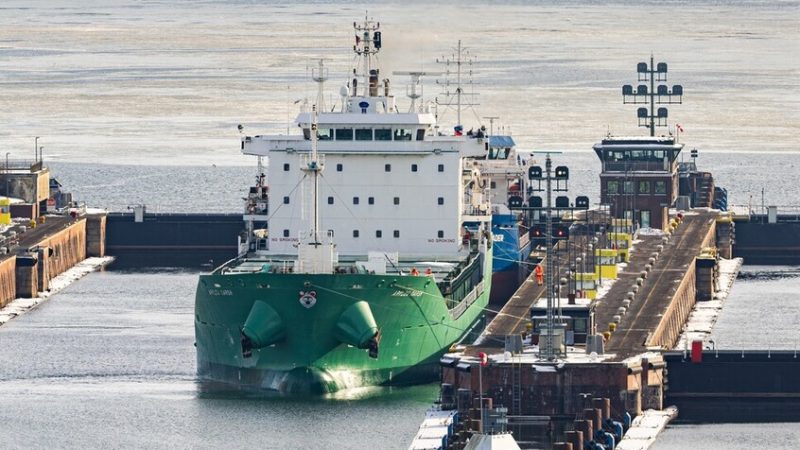 انطلاق باخرة لنقل المواشي من مرفأ بانياس