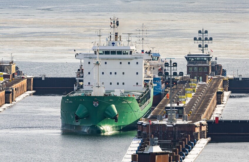 انطلاق باخرة لنقل المواشي من مرفأ بانياس