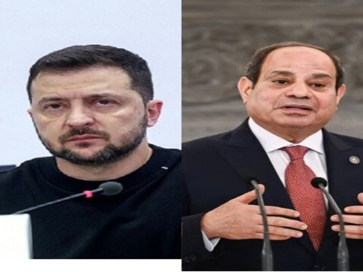الرئاسة المصرية تكشف تفاصيل مباحثات السيسي وزيلينسكي