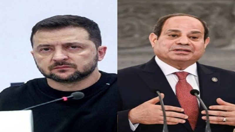 الرئاسة المصرية تكشف تفاصيل مباحثات السيسي وزيلينسكي