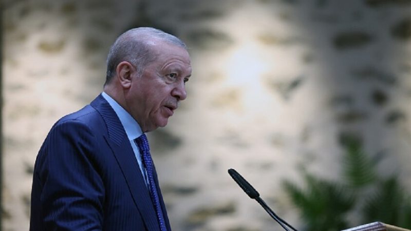 “جيروزاليم بوست”: أردوغان يشكل محورا سنّيا جديدا