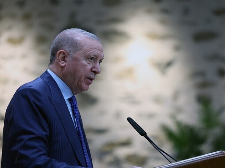أردوغان: ما يجري في غزة يفضح حدود النظام العالمي ويكشف أزمته الوجودية