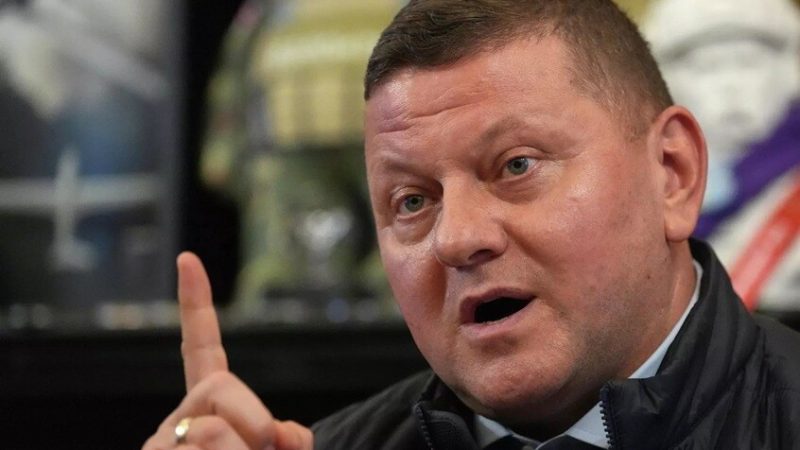 زالوجني: الضربات الروسية على خطوط إمدادنا تجعل من المستحيل شن أي هجوم