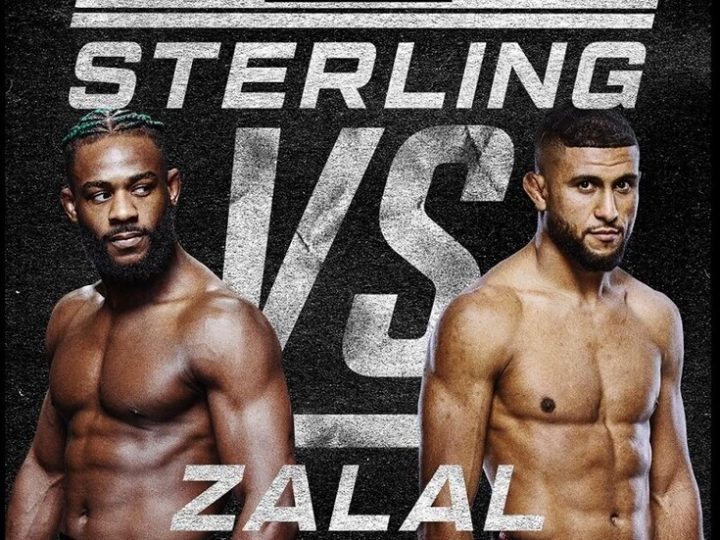 في ليلة هجوم واشنطن.. المقاتل المغربي يوسف زلال يسقط أمام الأمريكي ستيرلينغ (فيديو)