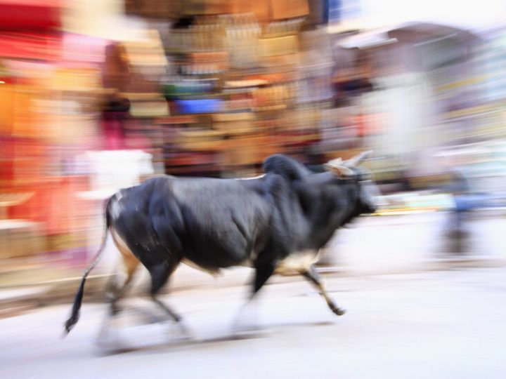 لقطات مروعة لنهاية مفجعة في “شارع الجحيم”.. ثور هائج يقتل أبا ينتظر طفلته الثانية في إسبانيا (فيديو)