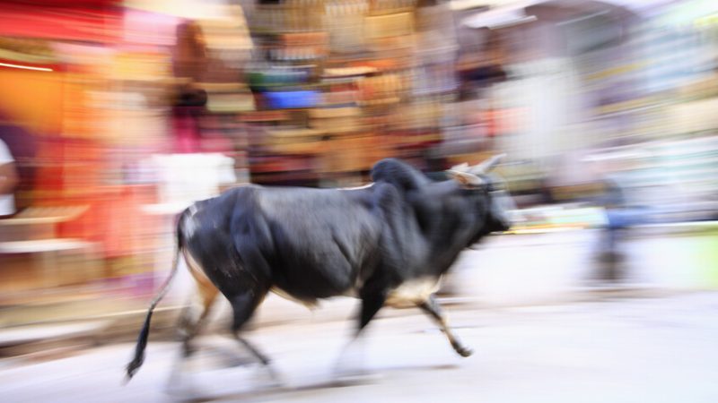 لقطات مروعة لنهاية مفجعة في “شارع الجحيم”.. ثور هائج يقتل أبا ينتظر طفلته الثانية في إسبانيا (فيديو)