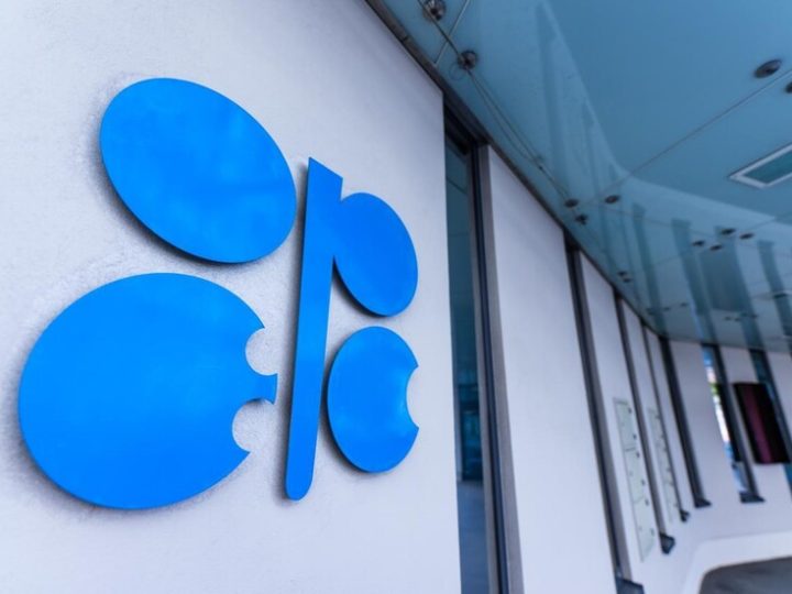 CNN: انسحاب الإمارات من “أوبك+” قد يفتح باب الانشقاقات وتحذير من تفكك محتمل للتحالف النفطي