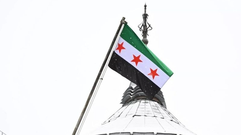 سوريا تمنع استيراد البيض والفروج والخضروات الموسمية لحماية المنتج المحلي