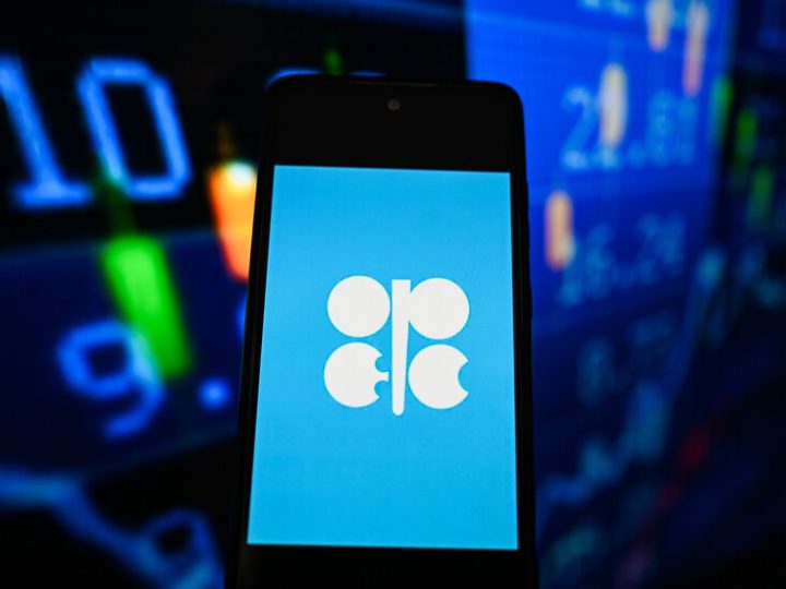 خبير طاقة: انسحاب الإمارات من “أوبك+” مجرد “حدث” طالما بقي هرمز مغلقا