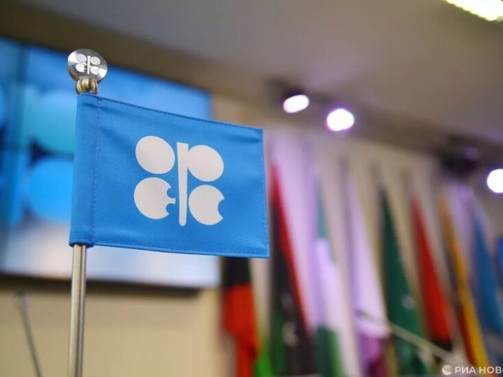 “غولدمان ساكس”: انسحاب الإمارات من “أوبك” يمهد لزيادة الإمدادات على المدى المتوسط