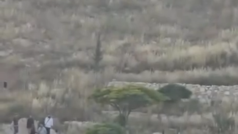 مشهد صادم.. مستوطنون إسرائيليون ينتهكون حرمة الموتى ويجبرون فلسطينيين على نقل جثة من قبرها (فيديو)